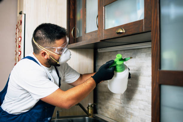 Best Best Pest Control Companies  in Wahoo, NE