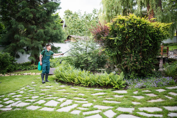 Best Best Pest Control Companies  in Wahoo, NE