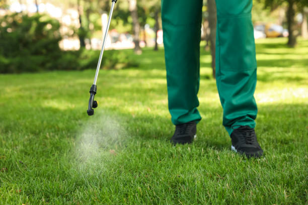 Trusted Wahoo, NE Pest Control Experts