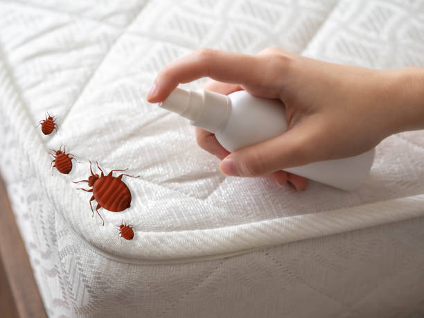 Best Pest Control Near Me in Wahoo, NE